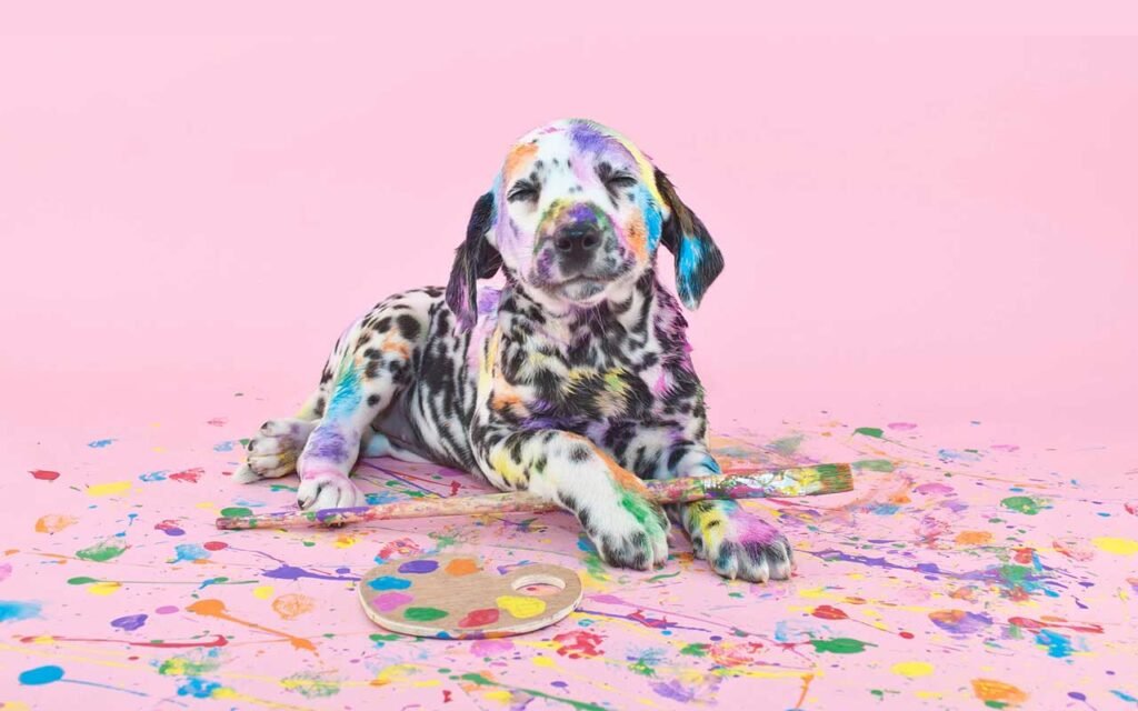 a messy puppy, animal idiom, a dog covered in paint