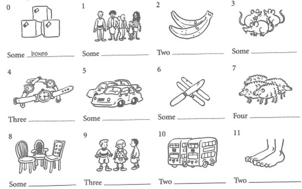 Singular and Plural Nouns Worksheets 2 plural nouns