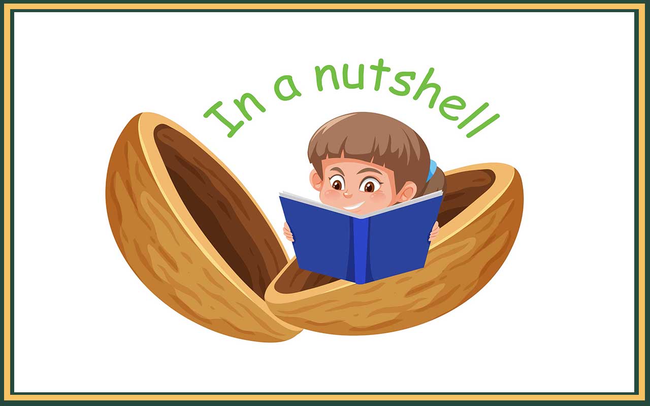 Types of English Expressions 2 boy reading a book whilst inside a big nutshell, for the metaphor in a nutshell