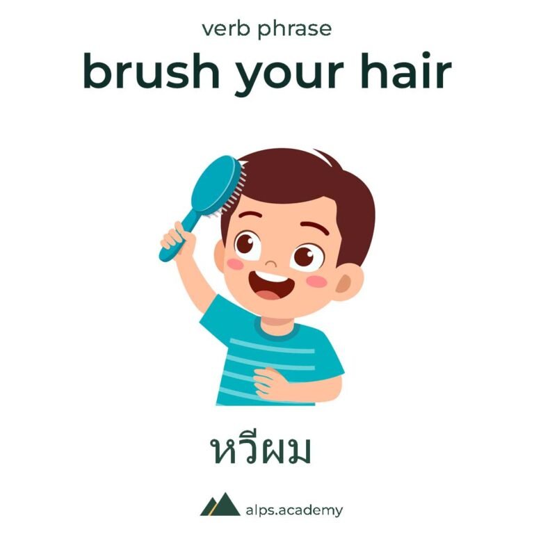verb phrase brush your hair in english and thai