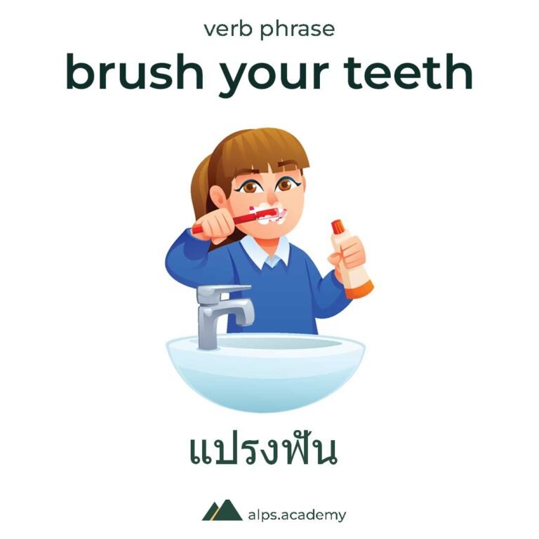 verb phrase brush your teeth in english and thai