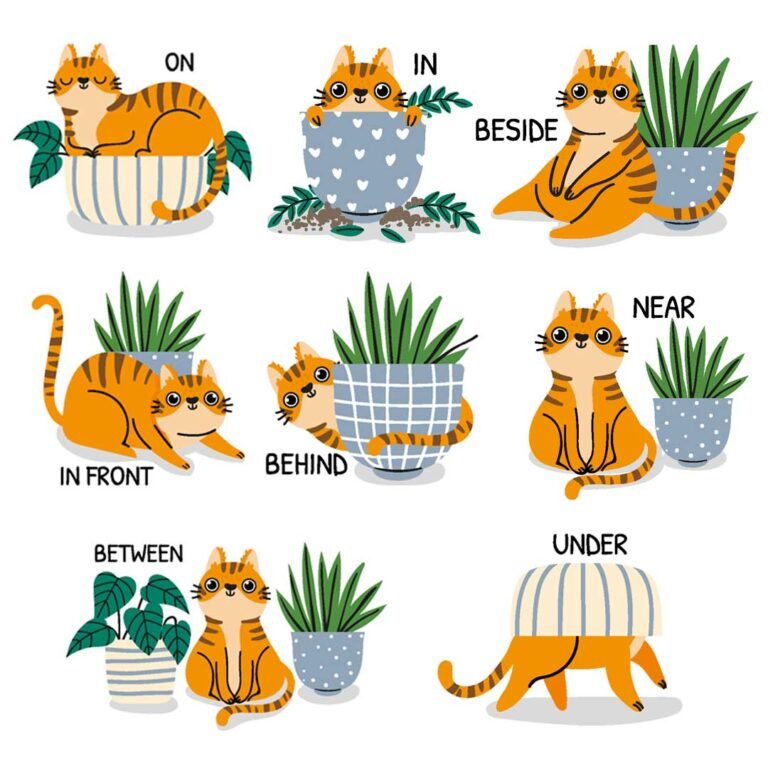 prepositions of place shows a cat in on beside in front of behind next to between and under a plant