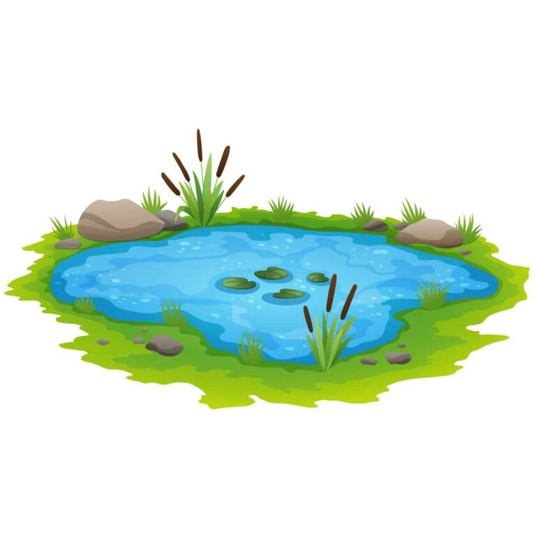 garden pond in english and thai