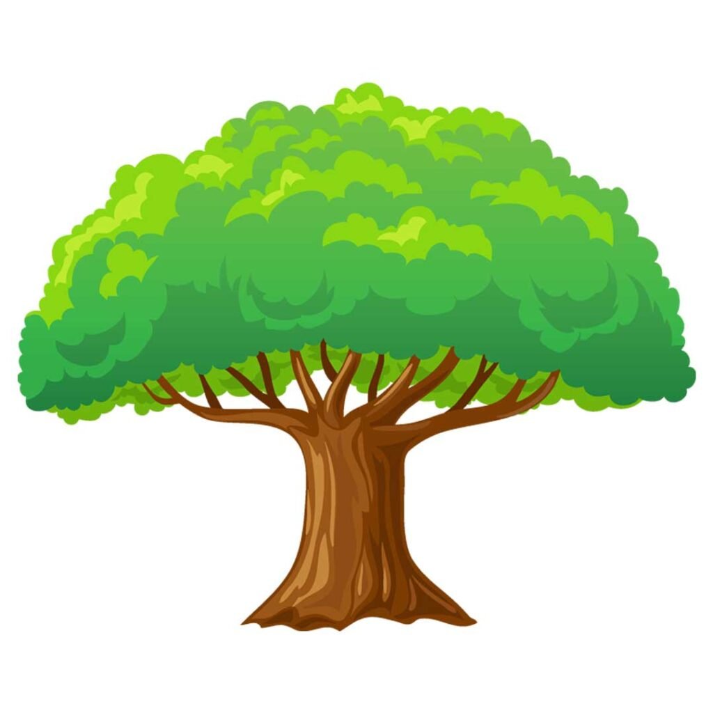 tree in english and thai