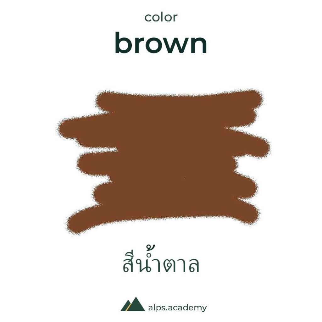 brown color in english and thai