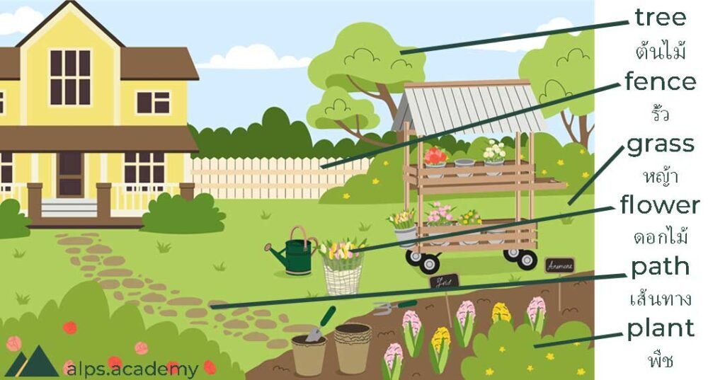 garden in english and thai