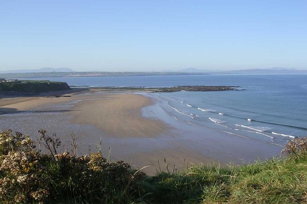 beautiful image of a beach representing nature for idioms about nature