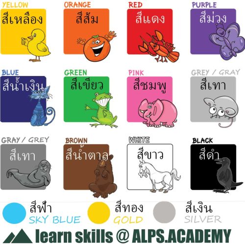 color colors in English with Thai labels