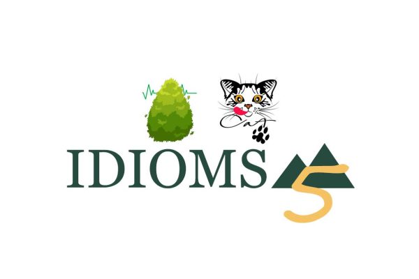 fun idioms exercises with cat got your tongue and a bush with a beat around it