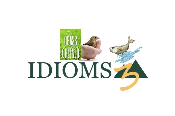 fun idioms exercises with fish out of water and a bird in the hand